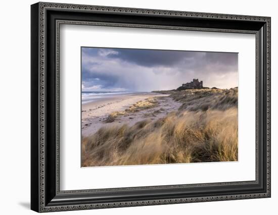 Bamburgh Castle and sand dunes, Northumberland, UK-Ross Hoddinott-Framed Photographic Print