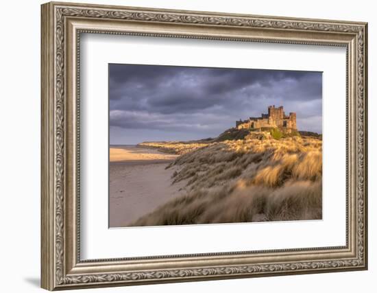 Bamburgh Castle and sand dunes, Northumberland, UK-Ross Hoddinott-Framed Photographic Print