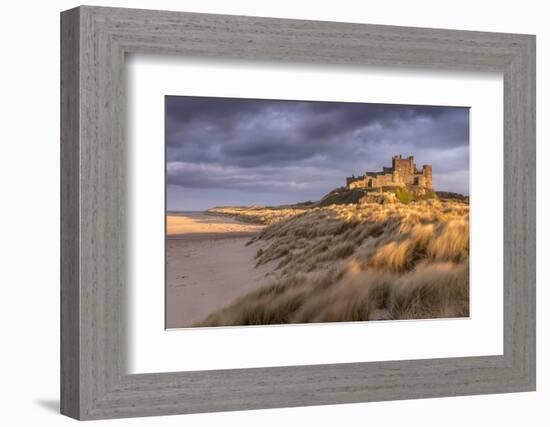 Bamburgh Castle and sand dunes, Northumberland, UK-Ross Hoddinott-Framed Photographic Print