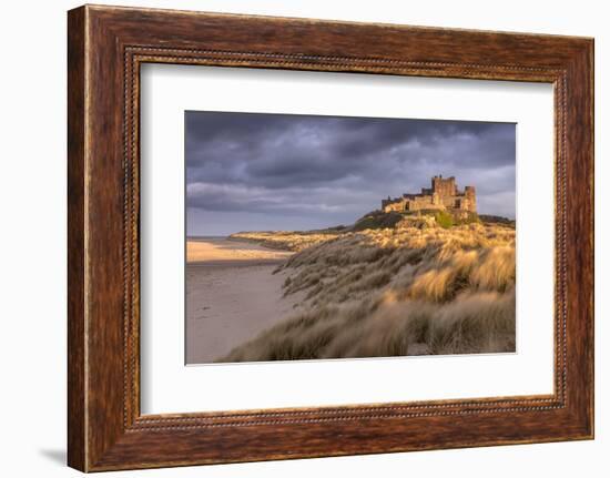 Bamburgh Castle and sand dunes, Northumberland, UK-Ross Hoddinott-Framed Photographic Print