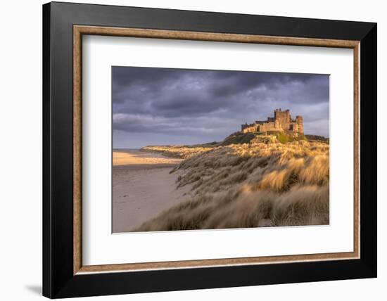 Bamburgh Castle and sand dunes, Northumberland, UK-Ross Hoddinott-Framed Photographic Print