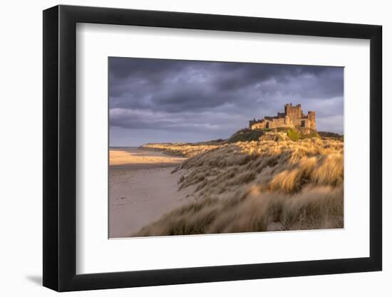 Bamburgh Castle and sand dunes, Northumberland, UK-Ross Hoddinott-Framed Photographic Print