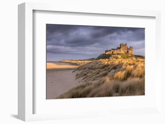 Bamburgh Castle and sand dunes, Northumberland, UK-Ross Hoddinott-Framed Photographic Print