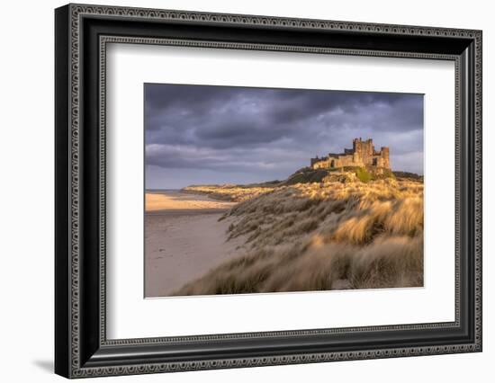 Bamburgh Castle and sand dunes, Northumberland, UK-Ross Hoddinott-Framed Photographic Print