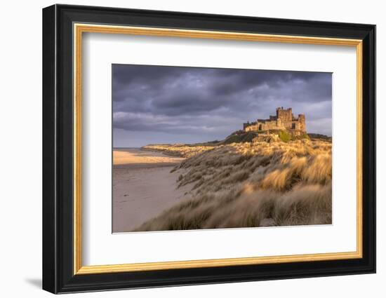 Bamburgh Castle and sand dunes, Northumberland, UK-Ross Hoddinott-Framed Photographic Print