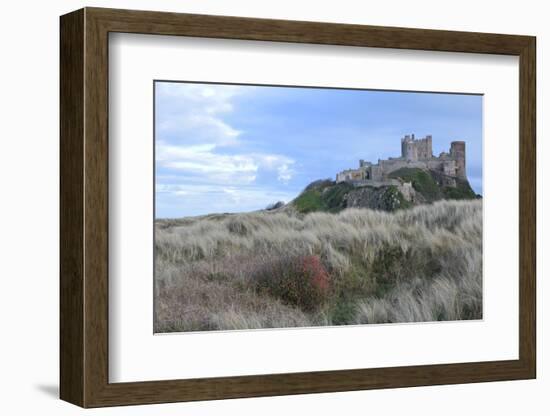 Bamburgh Castle, Bamburgh, Northumberland Coast, Northumbria, England, United Kingdom, Europe-James Emmerson-Framed Photographic Print