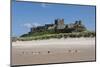 Bamburgh Castle, Bamburgh, Northumberland, England, United Kingdom, Europe-James Emmerson-Mounted Photographic Print