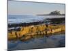 Bamburgh Castle, Northumberland, England-Paul Harris-Mounted Photographic Print