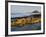 Bamburgh Castle, Northumberland, England-Paul Harris-Framed Photographic Print