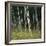 Bamoo Forest in Kyoto-Micha Pawlitzki-Framed Premium Photographic Print