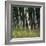 Bamoo Forest in Kyoto-Micha Pawlitzki-Framed Photographic Print