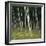 Bamoo Forest in Kyoto-Micha Pawlitzki-Framed Photographic Print