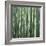 Bamoo Forest in Kyoto-Micha Pawlitzki-Framed Photographic Print