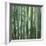 Bamoo Forest in Kyoto-Micha Pawlitzki-Framed Photographic Print