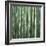 Bamoo Forest in Kyoto-Micha Pawlitzki-Framed Photographic Print