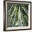 Bamoo Forest in Kyoto-Micha Pawlitzki-Framed Photographic Print