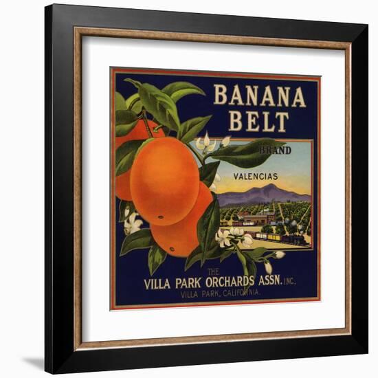 Banana Belt Brand - Villa Park, California - Citrus Crate Label-Lantern Press-Framed Art Print