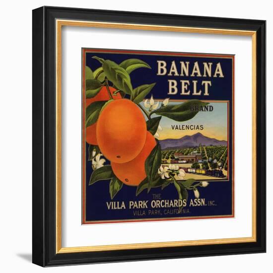 Banana Belt Brand - Villa Park, California - Citrus Crate Label-Lantern Press-Framed Art Print