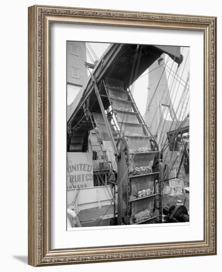 Banana Conveyors in Operation, New Orleans, La.-null-Framed Photo