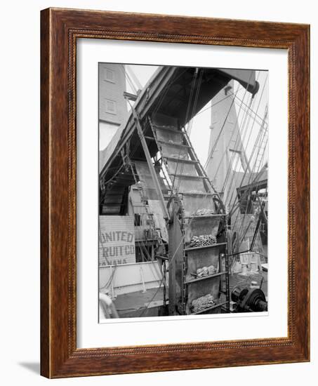 Banana Conveyors in Operation, New Orleans, La.-null-Framed Photo