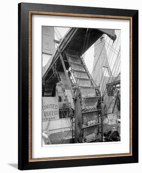 Banana Conveyors in Operation, New Orleans, La.-null-Framed Photo