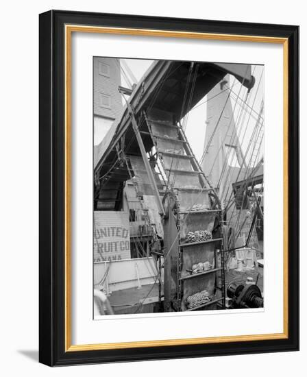 Banana Conveyors in Operation, New Orleans, La.-null-Framed Photo