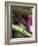 Banana Flower and Lizard, Jardin de Balata, FWI-Walter Bibikow-Framed Photographic Print