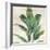 Banana Leaf I-Jacob Q-Framed Art Print