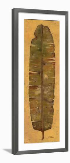 Banana Leaf II-Patricia Pinto-Framed Art Print