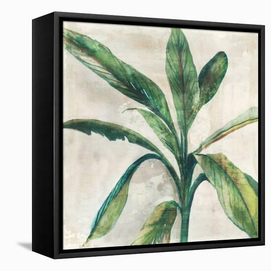 Banana Leaf II-Jacob Q-Framed Stretched Canvas