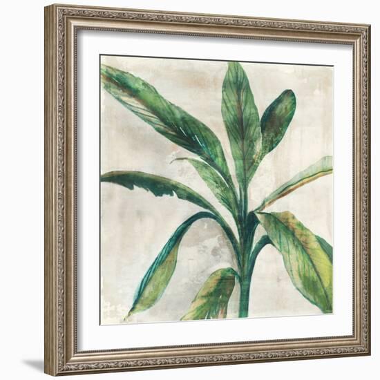 Banana Leaf II-Jacob Q-Framed Art Print