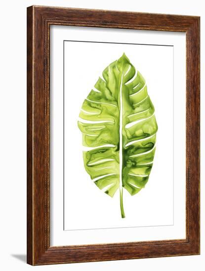 Banana Leaf Study I-Grace Popp-Framed Art Print