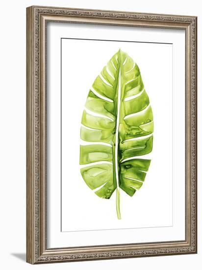 Banana Leaf Study II-Grace Popp-Framed Premium Giclee Print