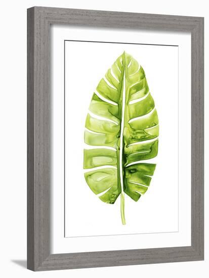 Banana Leaf Study II-Grace Popp-Framed Premium Giclee Print