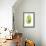 Banana Leaf Study II-Grace Popp-Framed Premium Giclee Print displayed on a wall