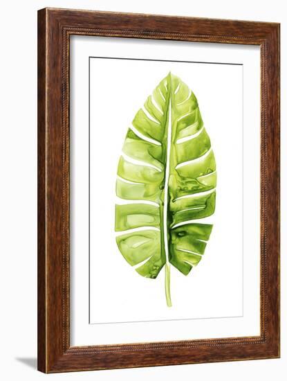 Banana Leaf Study II-Grace Popp-Framed Premium Giclee Print