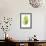 Banana Leaf Study II-Grace Popp-Framed Premium Giclee Print displayed on a wall