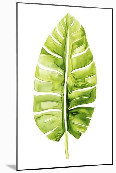 Banana Leaf Study II-Grace Popp-Mounted Art Print