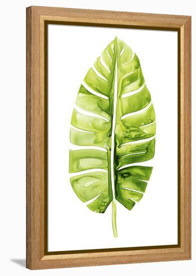 Banana Leaf Study II-Grace Popp-Framed Stretched Canvas