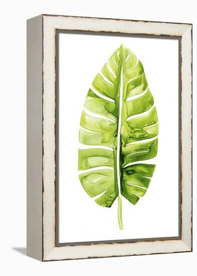 Banana Leaf Study II-Grace Popp-Framed Stretched Canvas