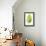 Banana Leaf Study II-Grace Popp-Framed Stretched Canvas displayed on a wall