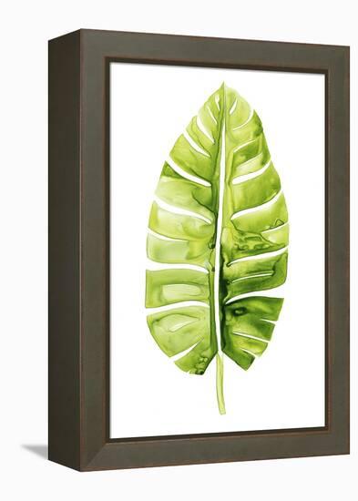 Banana Leaf Study II-Grace Popp-Framed Stretched Canvas