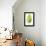 Banana Leaf Study II-Grace Popp-Framed Stretched Canvas displayed on a wall