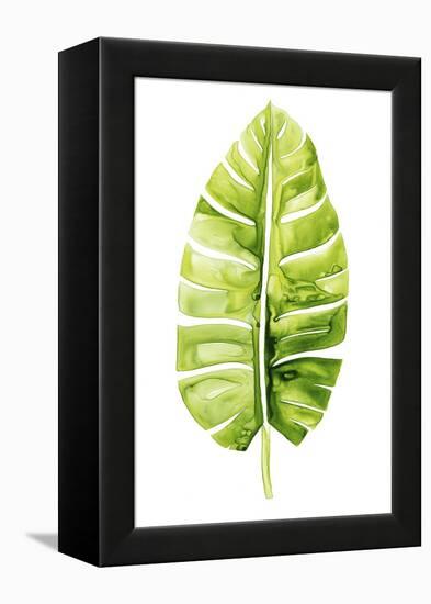 Banana Leaf Study II-Grace Popp-Framed Stretched Canvas