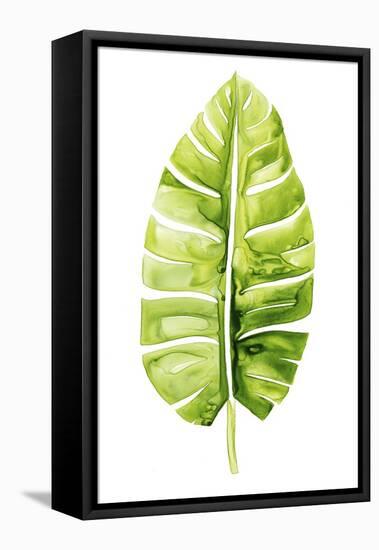 Banana Leaf Study II-Grace Popp-Framed Stretched Canvas