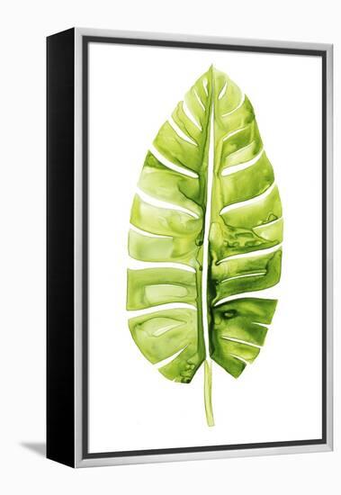 Banana Leaf Study II-Grace Popp-Framed Stretched Canvas