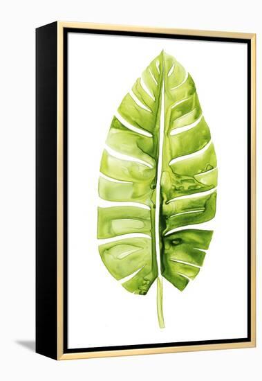 Banana Leaf Study II-Grace Popp-Framed Stretched Canvas