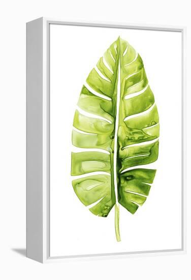 Banana Leaf Study II-Grace Popp-Framed Stretched Canvas