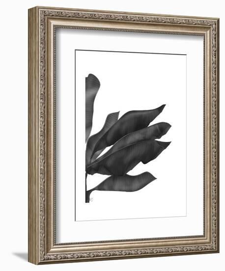 Banana Leaves 1, Black on White-Fab Funky-Framed Art Print