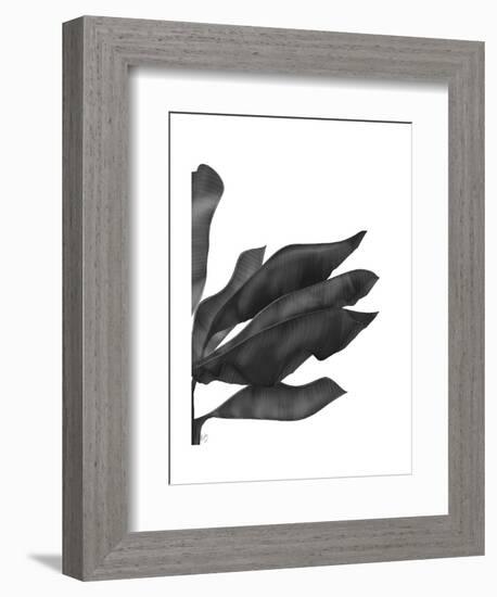 Banana Leaves 1, Black on White-Fab Funky-Framed Art Print